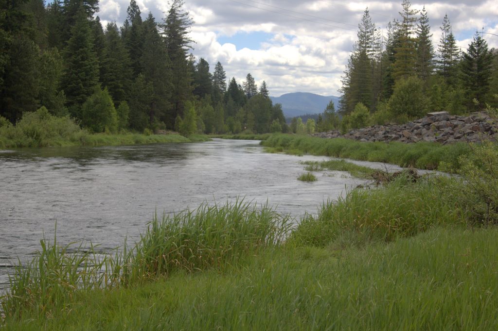 Coeur d'Alene River