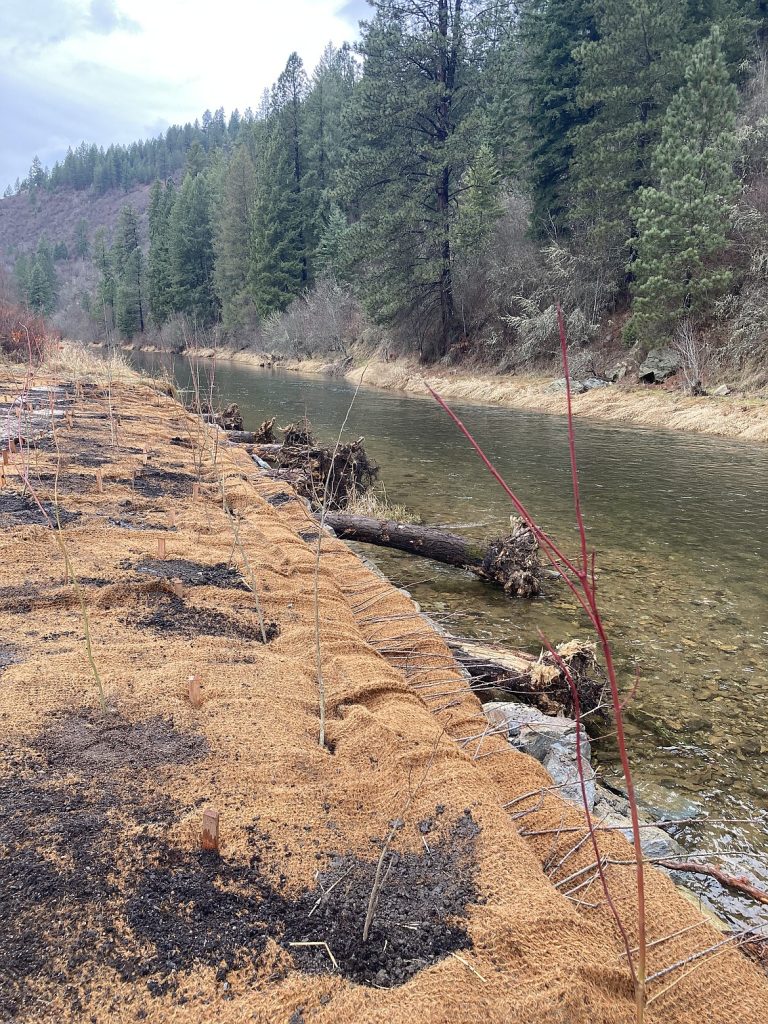 restoration work along the South Fork of the Coeur d'Alene River